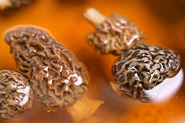 什么是特級(jí)羊肚菌