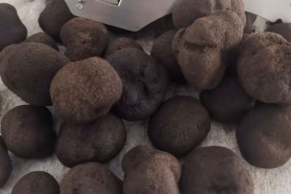 松露薄餅的做法竅門 松露薄餅的做法竅門
