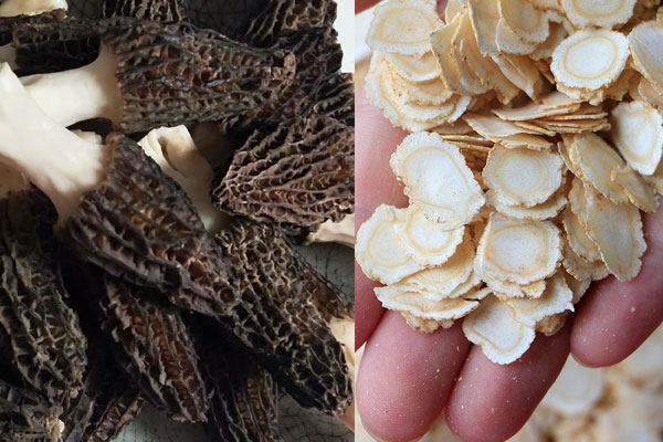西洋參和羊肚菌哪個(gè)更補(bǔ)，羊肚菌不能和什么同煮