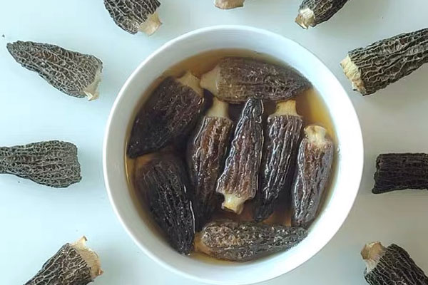 泡羊肚菌的水要倒掉嗎