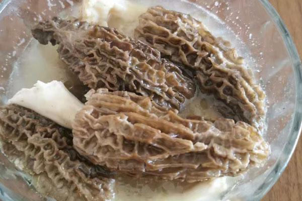 羊肚菌煲雞湯還可以放什么，羊肚菌燉雞什么時(shí)候下鍋