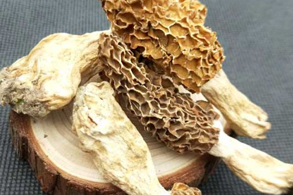 干制羊肚菌的方法，羊肚菌最經(jīng)典的三種吃法
