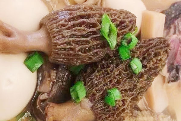 羊肚菌可以提高免疫力嗎，羊肚菌有酒味還能吃嗎