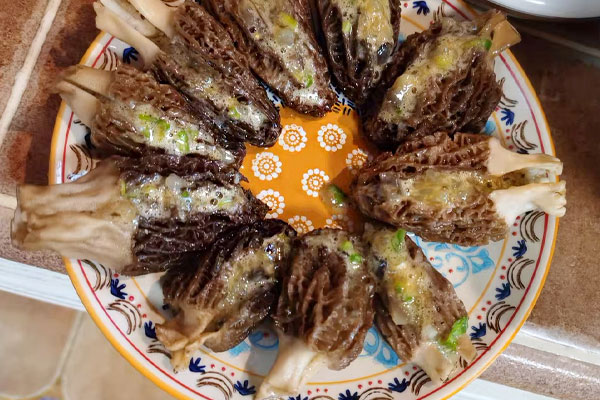 羊肚菌可以生吃嗎