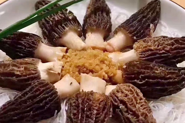 羊肚菌是寒性還是溫性，陰虛可以吃羊肚菌嗎
