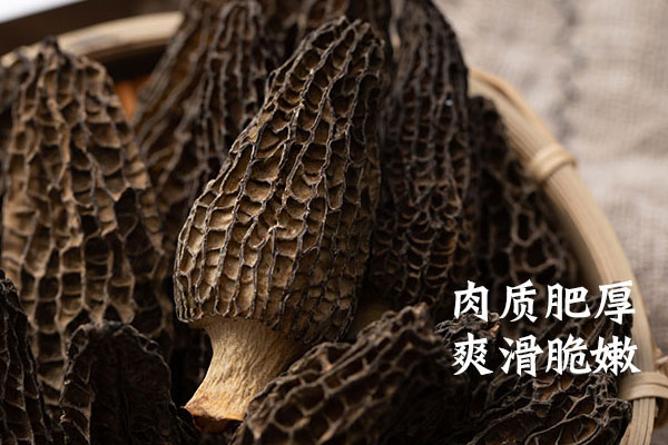 干羊肚菌的最佳泡發(fā)時(shí)間