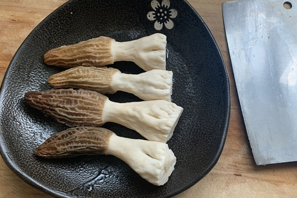 血壓低能吃羊肚菌嗎