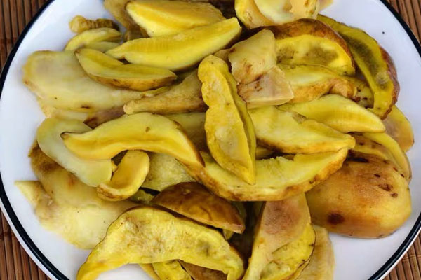 牛肝菌可以促進(jìn)排便嗎