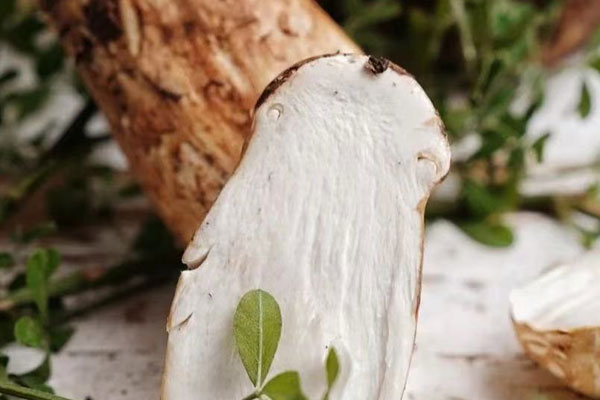 松茸煮鮰魚的食用禁忌 松茸煮鮰魚的食用禁忌