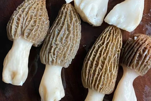 羊肚菌無花果太子參湯的食用禁忌 羊肚菌無花果太子參湯的食用禁忌