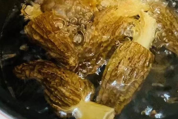 心梗的人怎么吃羊肚菌