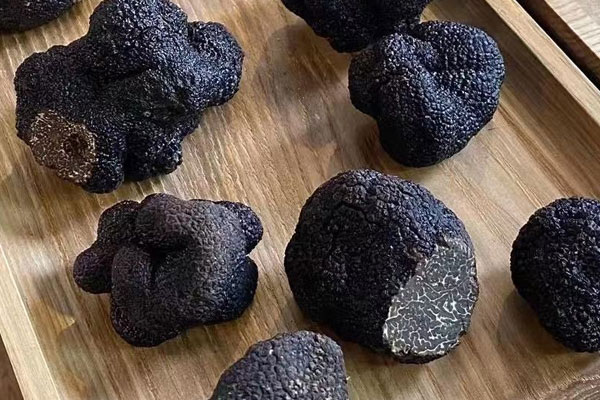 黑松露是菌類嗎，黑松露的味道和什么很像