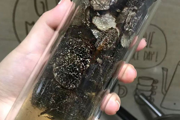 泡過酒的塊菌還可以吃嗎，塊菌小孩能吃嗎