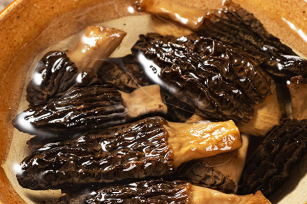 羊肚菌燴魚(yú)肚的食用禁忌 羊肚菌燴魚(yú)肚的食用禁忌