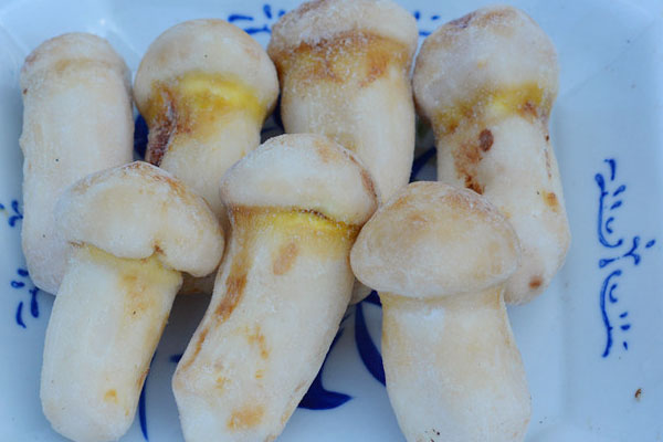 冷凍過的松茸還可以吃嗎