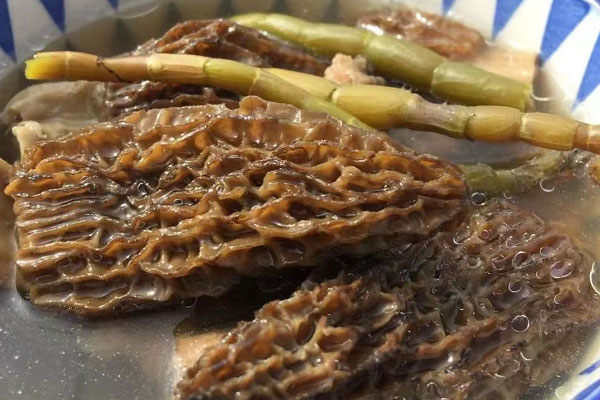 羊肚菌和什么材料煲湯最好，羊肚菌如何煲湯
