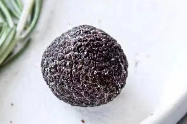 黑松露玉竹老鴨湯的功效作用 黑松露玉竹老鴨湯的功效作用