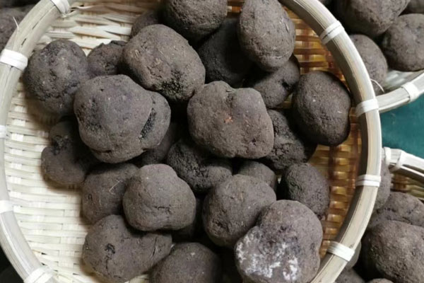 中國松露為啥不出名 中國松露為啥不出名