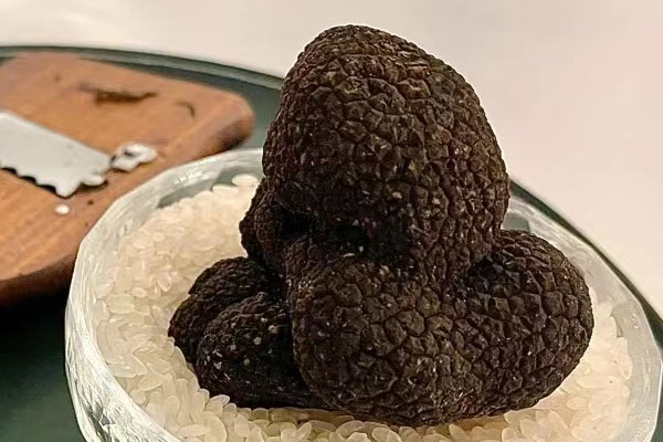 新鮮松露可以泡酒嗎，松露與什么泡酒效果最佳