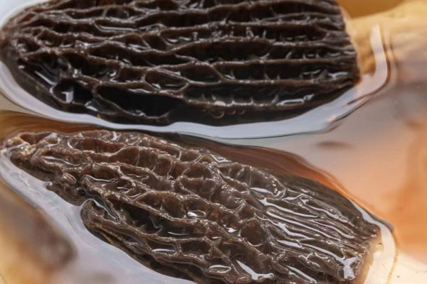 羊肚菌怎樣清洗，羊肚菌煲湯一般放幾顆