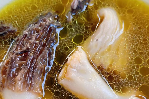 手術(shù)后能吃羊肚菌燉雞嗎，皮膚擦傷可以吃羊肚菌嗎