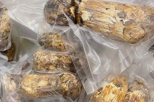 吃了沒熟的松茸會(huì)中毒嗎 吃了沒熟的松茸會(huì)中毒嗎