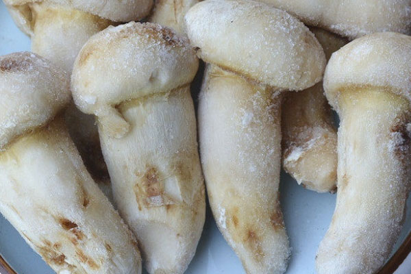 松茸解凍后還能繼續(xù)冷凍嗎 松茸解凍后還能繼續(xù)冷凍嗎