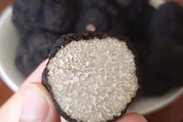 黑松露黑心的好還是白心的好，黑松露大小口感有分別嗎