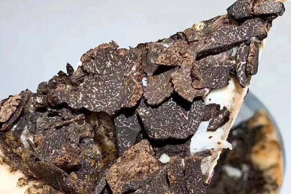 黑松露對孕婦的壞處 黑松露對孕婦的壞處