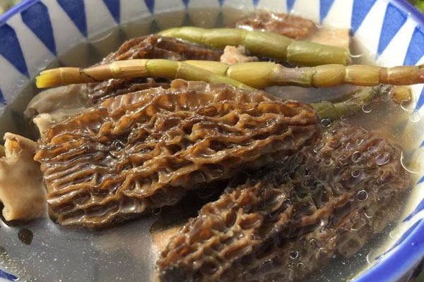 羊肚菌加什么煮湯給小孩喝好 羊肚菌加什么煮湯給小孩喝好