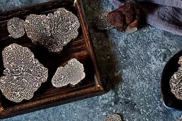 云南黑松露屬于什么品種，黑松露在東北土名叫什么