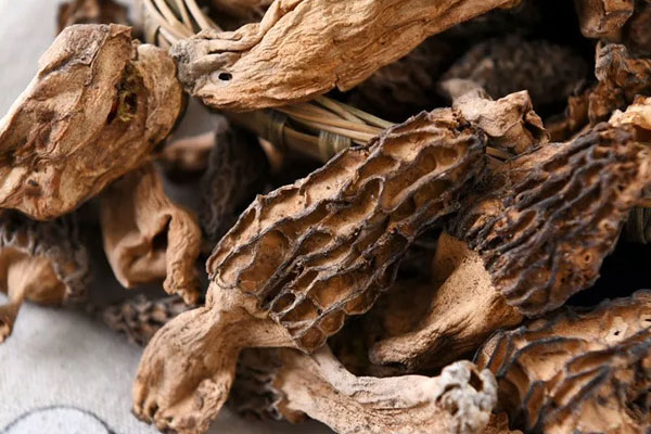 干羊肚菌是不是咸味的，大羊肚菌與小羊肚菌的區(qū)別