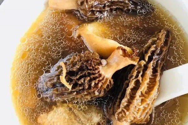 羊肚菌蘋果瘦肉湯什么時(shí)候喝最好 羊肚菌蘋果瘦肉湯什么時(shí)候喝最好