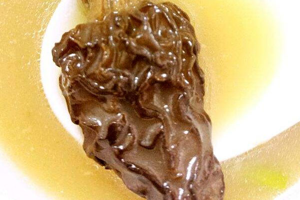 羊肚菌燉甲魚(yú)湯的功效與作用 羊肚菌燉甲魚(yú)湯的功效與作用