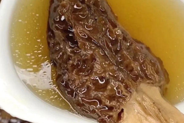 羊肚菌能治療鼻炎嗎 羊肚菌能治療鼻炎嗎