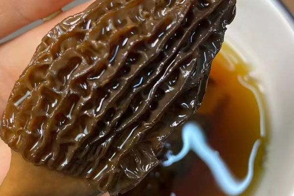 備孕期可以吃羊肚菌嗎，孕婦吃羊肚菌有害處嗎