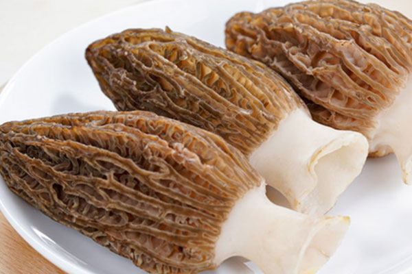 羊肚菌吃前用開水泡嗎，用冷水泡羊肚菌好嗎