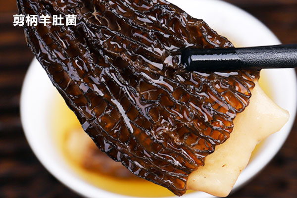 羊肚菌有柄和無柄的區(qū)別，羊肚菌尾巴要剪掉嗎