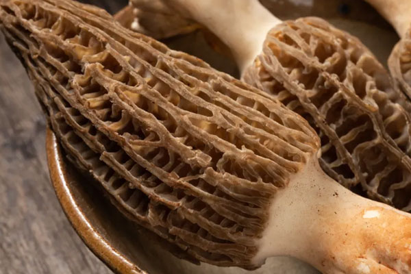 喉嚨發(fā)炎可以吃羊肚菌嗎，氣管炎能吃羊肚菌嗎
