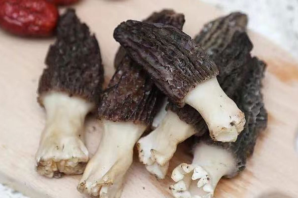 開顱手術能吃羊肚菌嗎 開顱手術能吃羊肚菌嗎