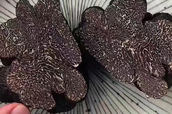 松露是什么東西，黑松露難吃為什么叫三大美食