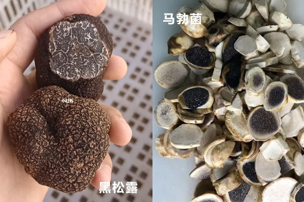 黑松露有假的么，沒有花紋的是黑松露嗎
