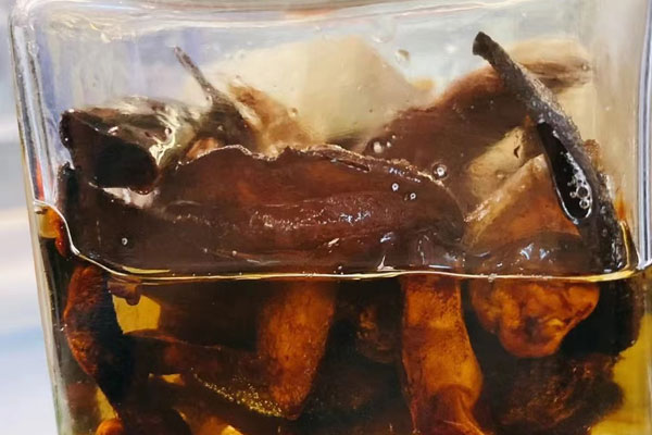 炸牛肝菌油怎么做好吃，有哪些營養(yǎng)價值