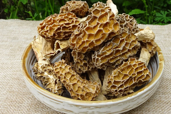 腦梗塞可以吃羊肚菌嗎，腦腫瘤患者可以吃羊肚菌嗎