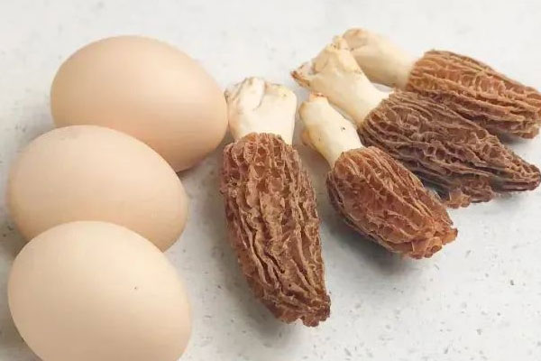 羊肚菌枸杞蒸蛋的食用禁忌 羊肚菌枸杞蒸蛋的食用禁忌