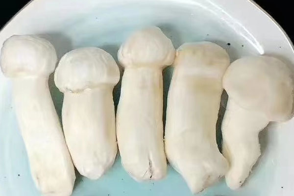 松茸培根卷的食用禁忌 松茸培根卷的食用禁忌