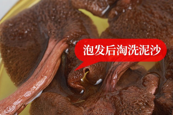 紅乳牛肝菌泡椒炒雞雜的食用禁忌 紅乳牛肝菌泡椒炒雞雜的食用禁忌
