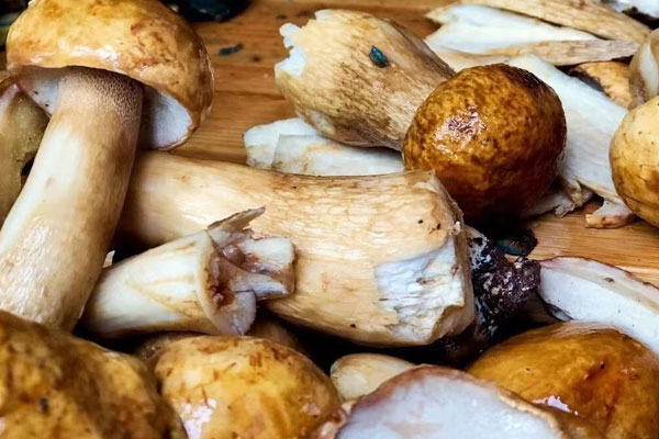 牛肝菌臘腸胡蘿卜燜飯?jiān)趺醋龊贸? /></div>
<h2>
一、牛肝菌臘腸胡蘿卜燜飯?jiān)趺醋龊贸?/h2>
<div>
食材準(zhǔn)備:新鮮牛肝菌、胡蘿卜、小香芹、臘腸、米、生抽、老抽、蠔油、香油、鹽</div>
<h3>
做法步驟:</h3>
<div>
1、新鮮牛肝菌用刀去掉泥腳,洗干凈,切片;胡蘿卜去皮,切小塊;小香芹洗干凈,切碎;臘腸洗一下,切小塊;</div>
<div>
</div>
<div>
2、準(zhǔn)備一勺生抽,一勺老抽,一勺蠔油,半勺香油,少許鹽,混合均勻;鍋中放好大米和水,將準(zhǔn)備好的調(diào)料倒入鍋中,放入臘腸、牛肝菌、胡蘿卜,倒入鍋中,按煮飯鍵,煮好后撒上小香芹,燜8分鐘搞定。<br />
<br />
<img alt= 牛肝菌臘腸胡蘿卜燜飯?jiān)趺醋龊贸? src=