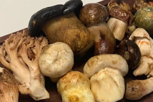 牛肝菌雜菌火腿湯的營養(yǎng)價(jià)值 牛肝菌雜菌火腿湯的營養(yǎng)價(jià)值