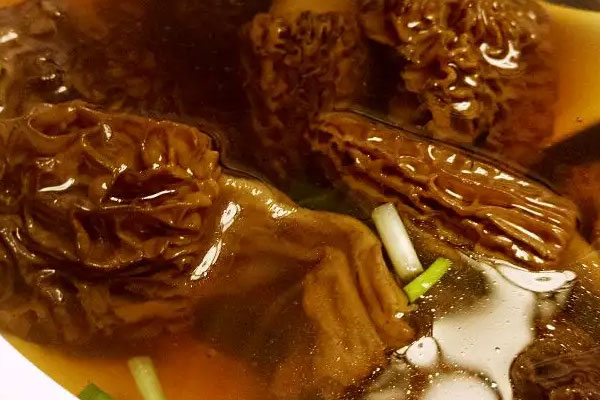 癌癥患者可以吃羊肚菌嗎，卵巢囊腫可以吃羊肚菌嗎